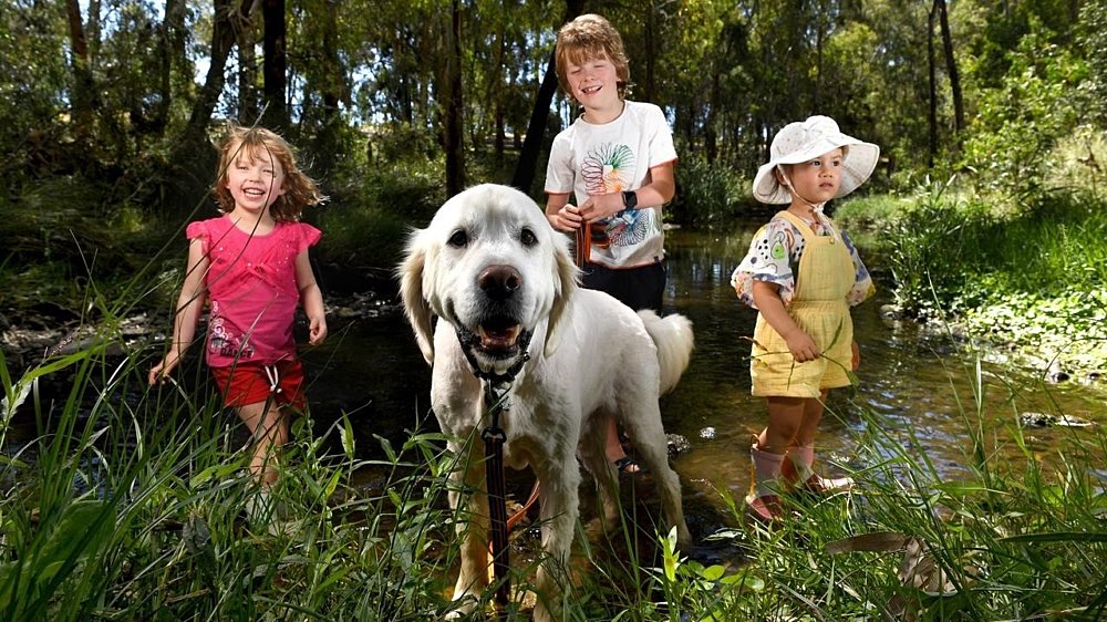 Advertiser article Dec 10 2021 National Park City