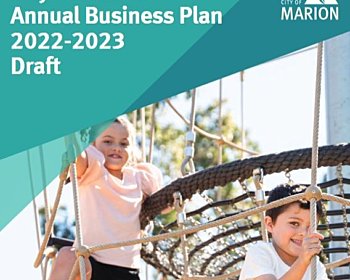 Annual business plan cover pic