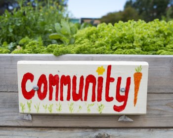 City Marion Marino Community Garden 20102016 5