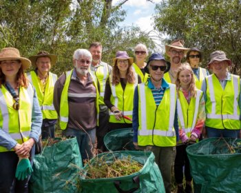 Friends Sturt River Landcare