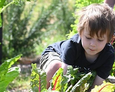GARDEN Website banner child smaller
