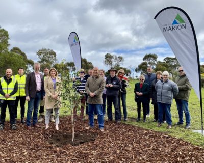 Nari reserve tree group