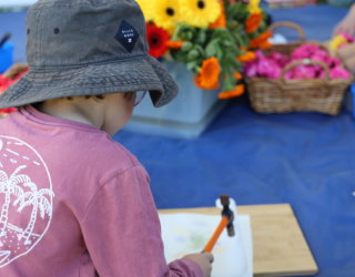 Explore Warripari Sturt River