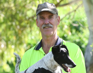 Alex Graffiti Removal By Cath Leo 38 web