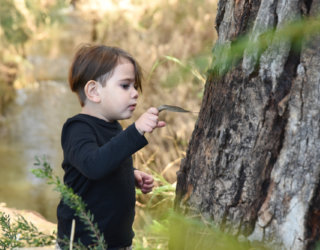 Warriparinga Wetlands By Cath Leo 12