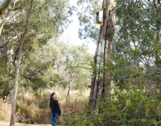 Warriparinga Wetlands By Cath Leo 45