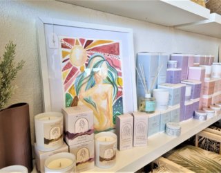 Pebble and palm interiors