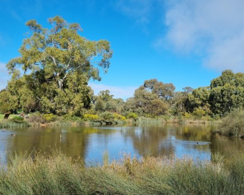 Eventbrite event logo 63a29b68404038 91559171