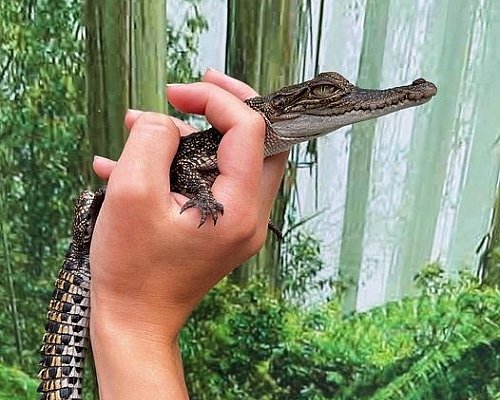 288726850 5675165232533806 6936961173872135948 n