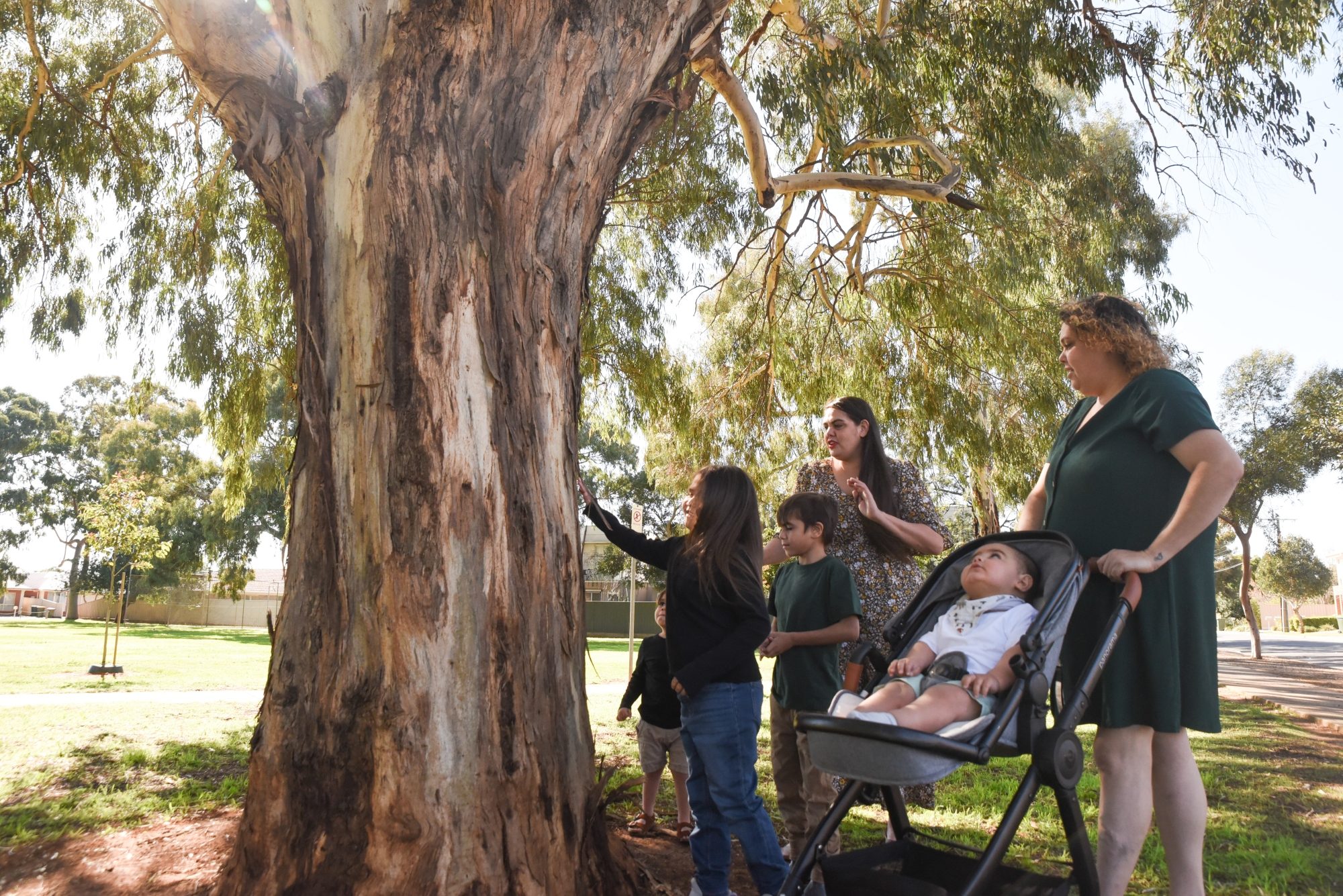 Sutton Ave Seacombe Gardens By Cath Leo 26