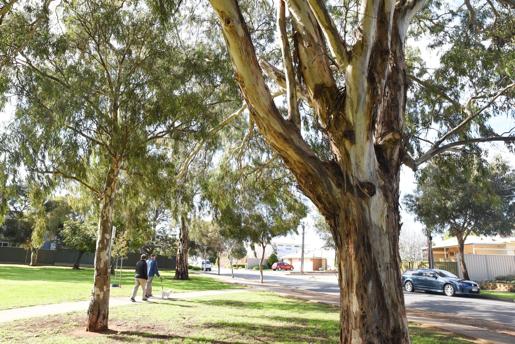 Sutton Ave Seacombe Gardens By Cath Leo 3