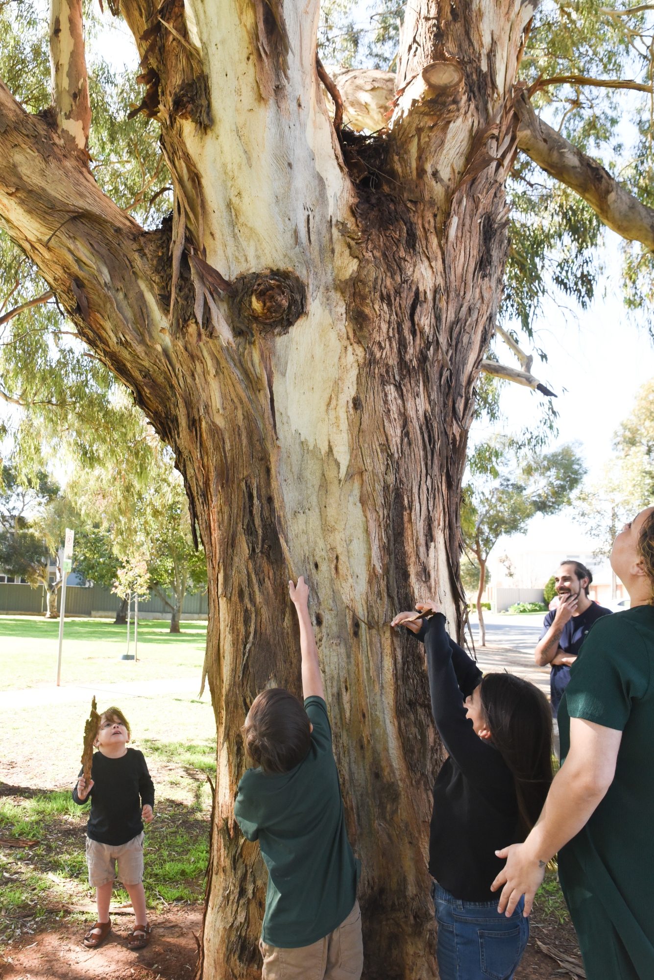 Sutton Ave Seacombe Gardens By Cath Leo 30