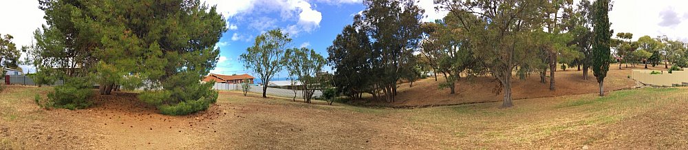 Central Avenue Reserve North Panorama 1