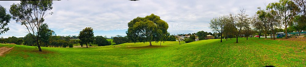 Hessing Crescent Reserve Panorama 1