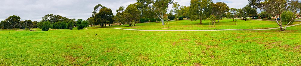 Bombay Avenue Reserve Panorama 4