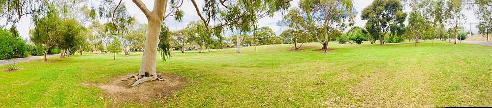 Bombay Avenue Reserve Panorama 1