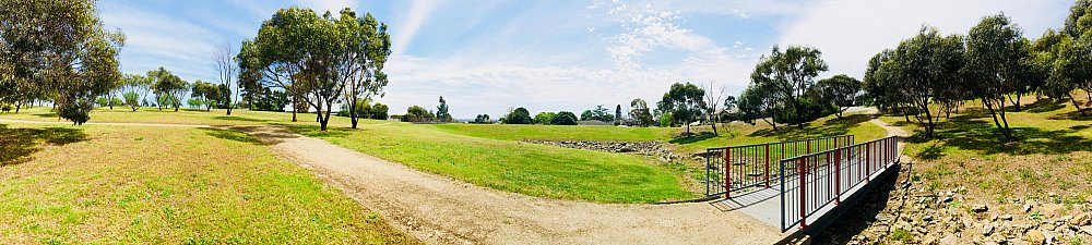 Mostyn Road Reserve Panorama Swale 2