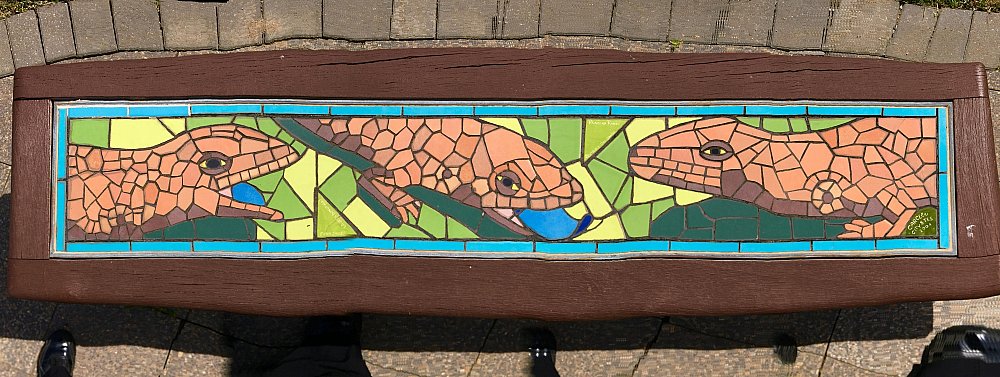 Mostyn Road Reserve Facilities Seats Panormal 1