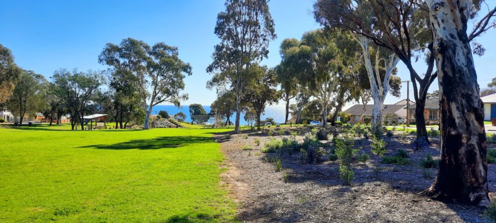 Bandon Terrace Reserve Natural Landscaping 2