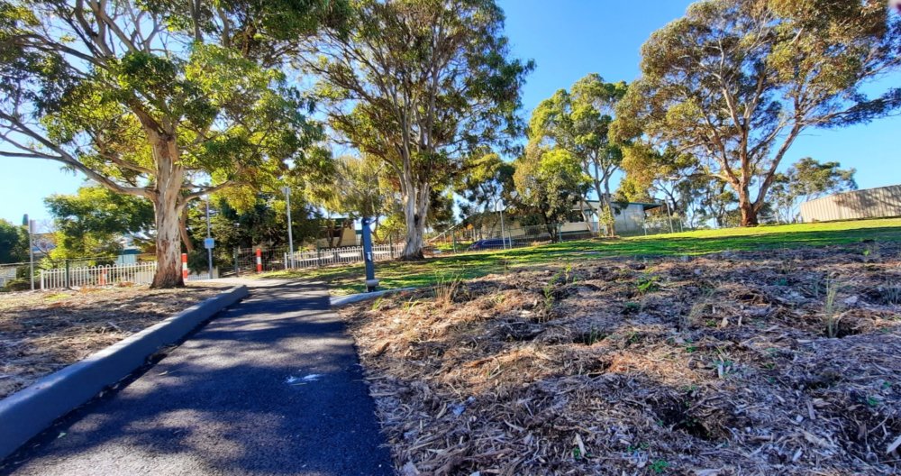 Westall Way Reserve 23