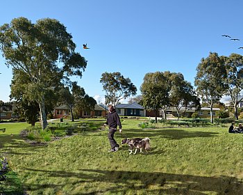 Bandon Terrace Reserve Visualisation