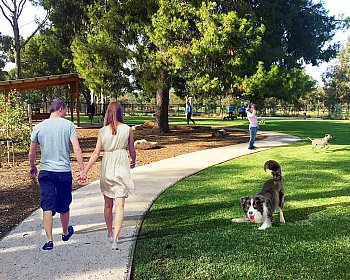 Hazelmere Road Reserve Dog Park Indicative Image