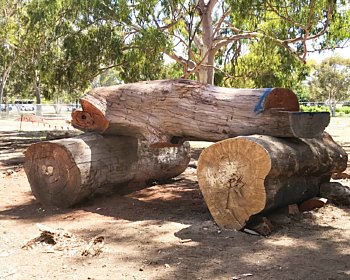 Oaklands Reserve Oaklands Estate Reserve Construction Nature Play Equipment January 2019