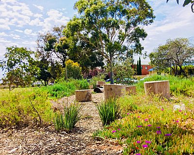 Waratah Square Reserve Native Planting 2
