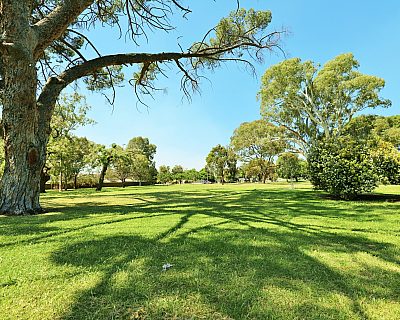 Quick Road Reserve 1