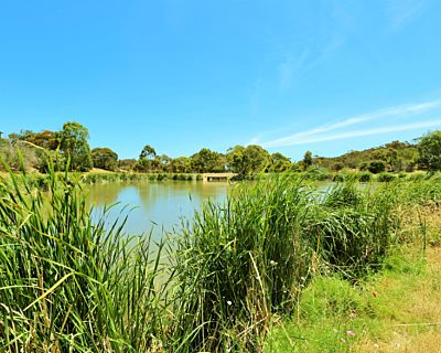 Lucretia Way Reserve 18