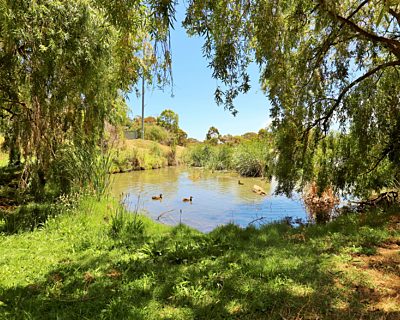 Lucretia Way Reserve 19