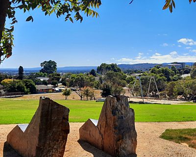 Mostyn Road Reserve 3