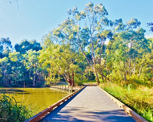 Warriparingga Wetlands Boardwalk 2