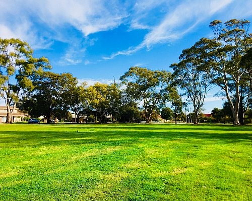 Mitchell Street Reserve Grass 3