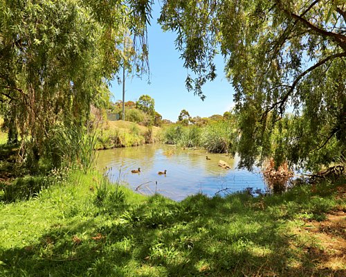 Lucretia Way Reserve 19