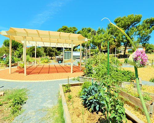 Newland Avenue Reserve Marino Community Garden Pergola 1
