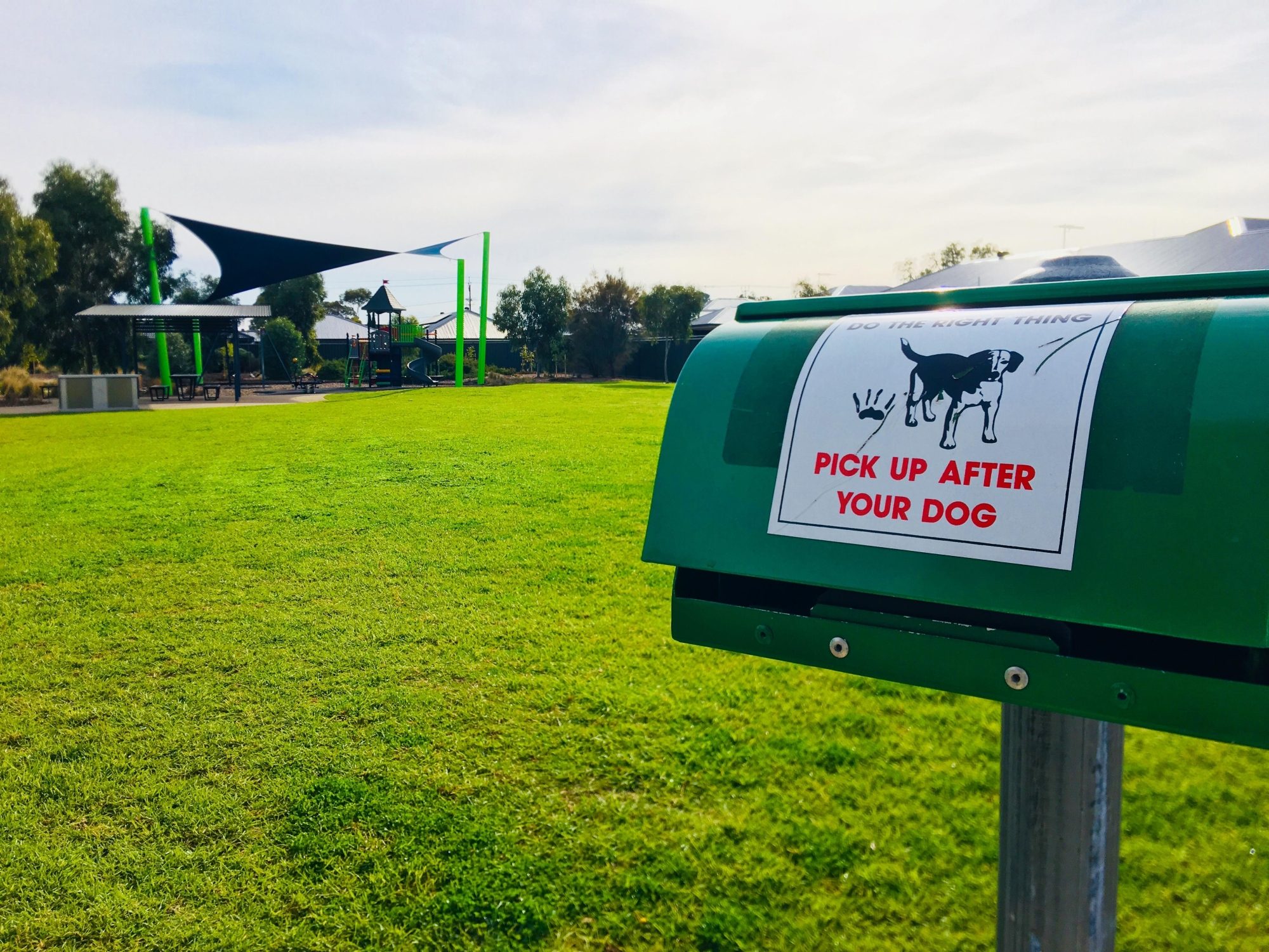 Aldridge Avenue Reserve Dogs 1