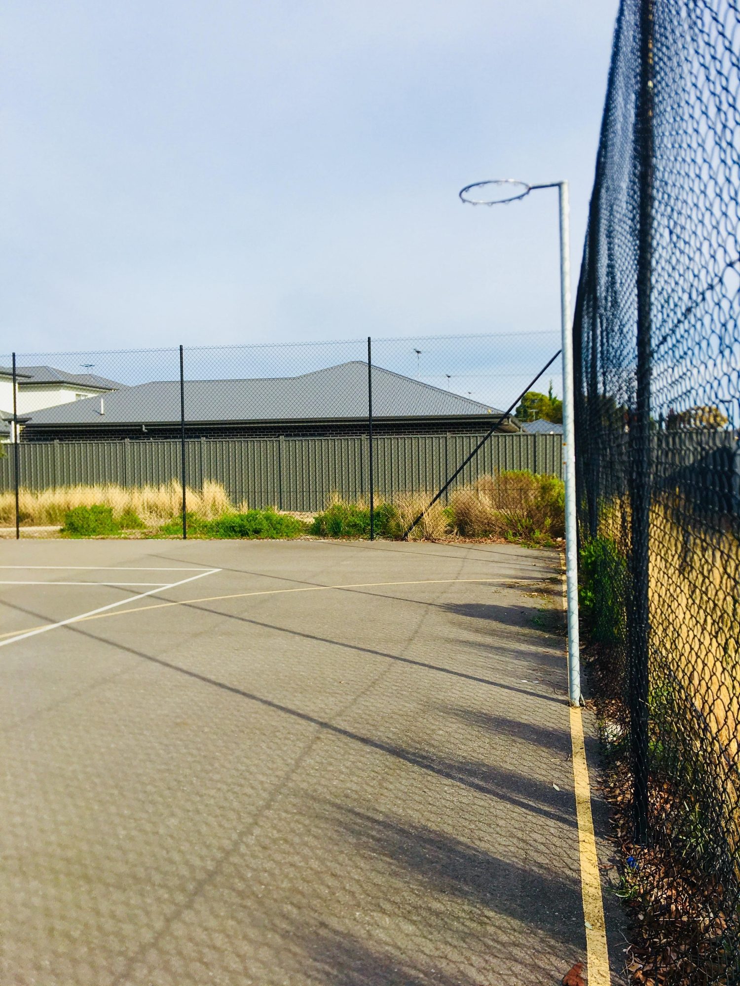 Aldridge Avenue Reserve Netball 1