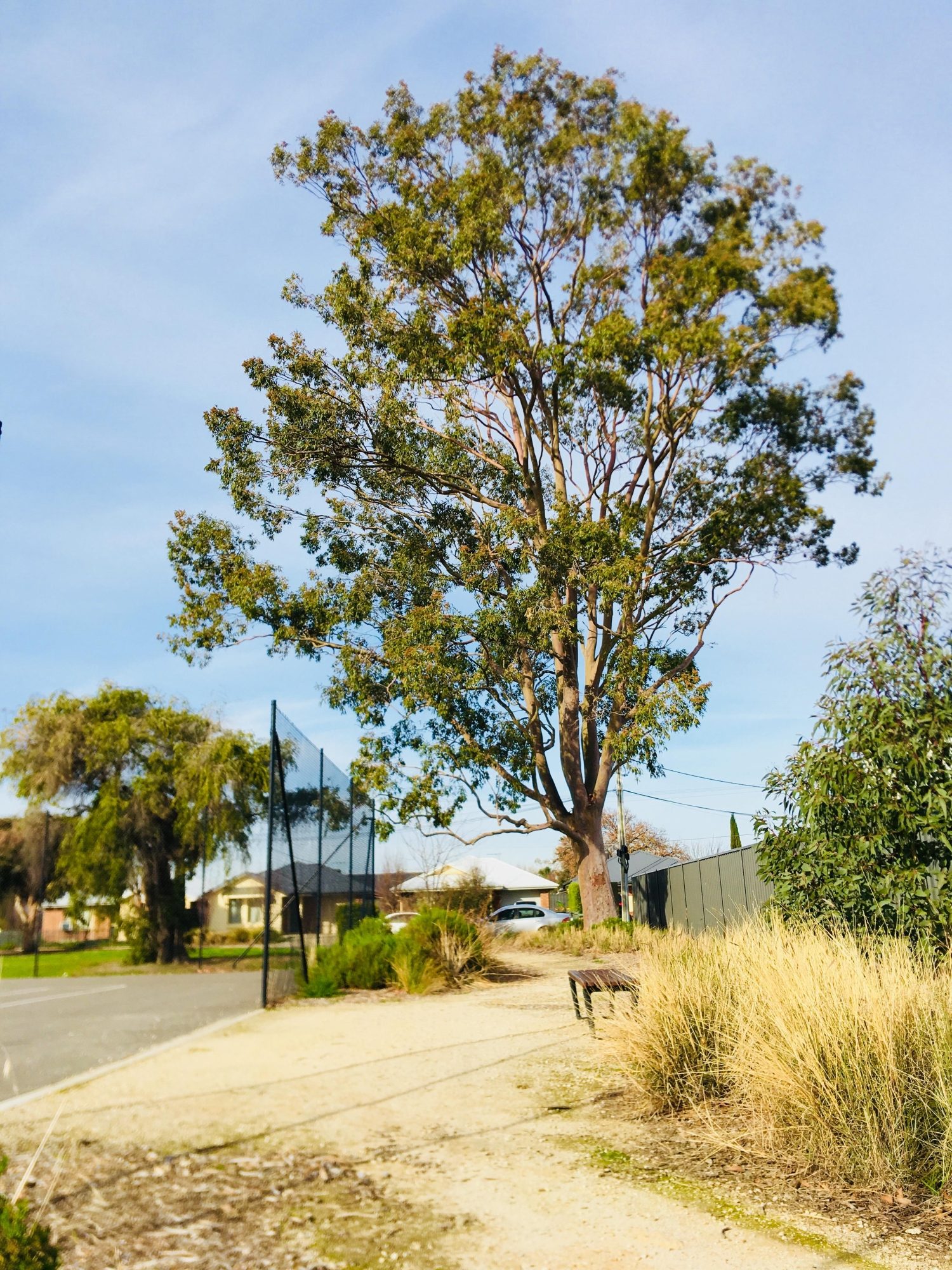 Aldridge Avenue Reserve Track 1