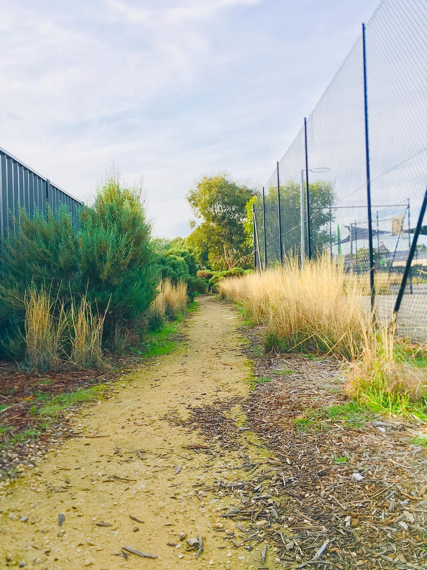 Aldridge Avenue Reserve Track 2
