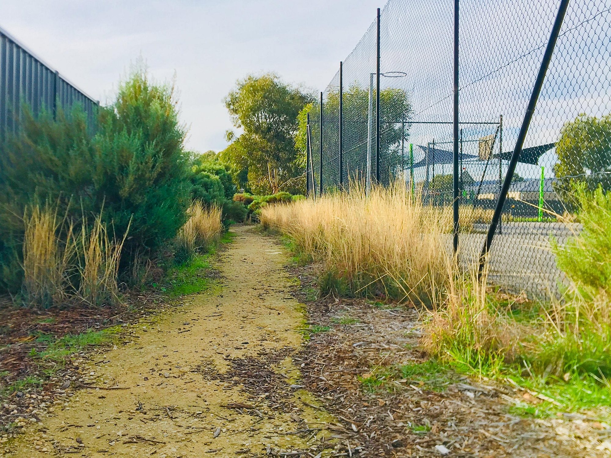 Aldridge Avenue Reserve Track 3
