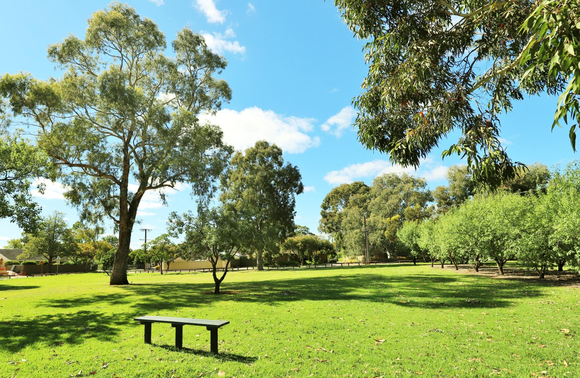 Alison Avenue Reserve Kick About 1