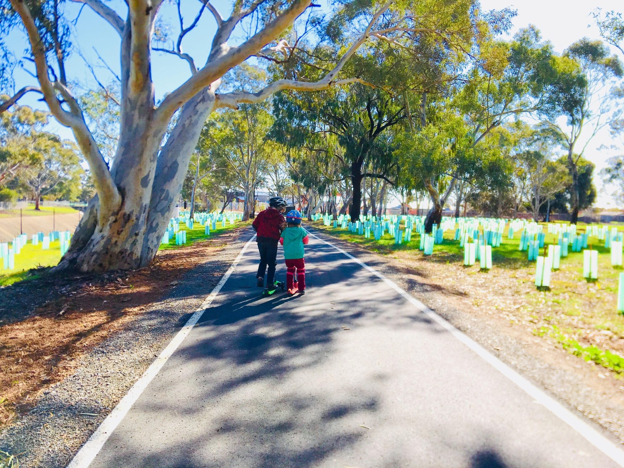 Appleby Road Reserve Sturt River Linear Park Xb Zb 1