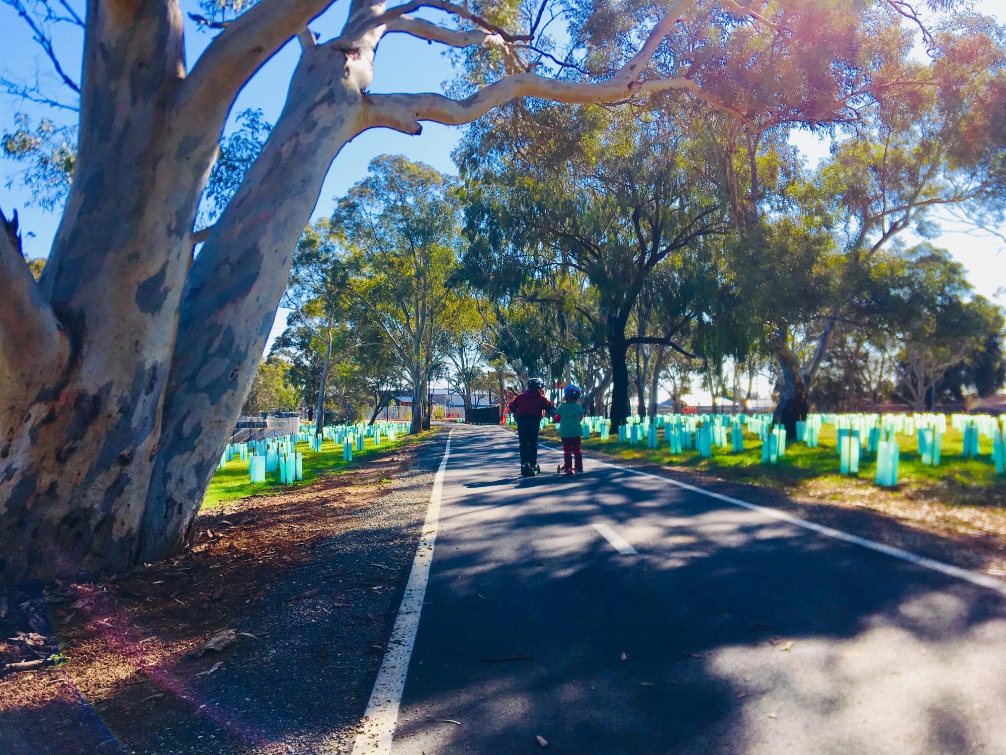 Appleby Road Reserve Sturt River Linear Park Xb Zb 2