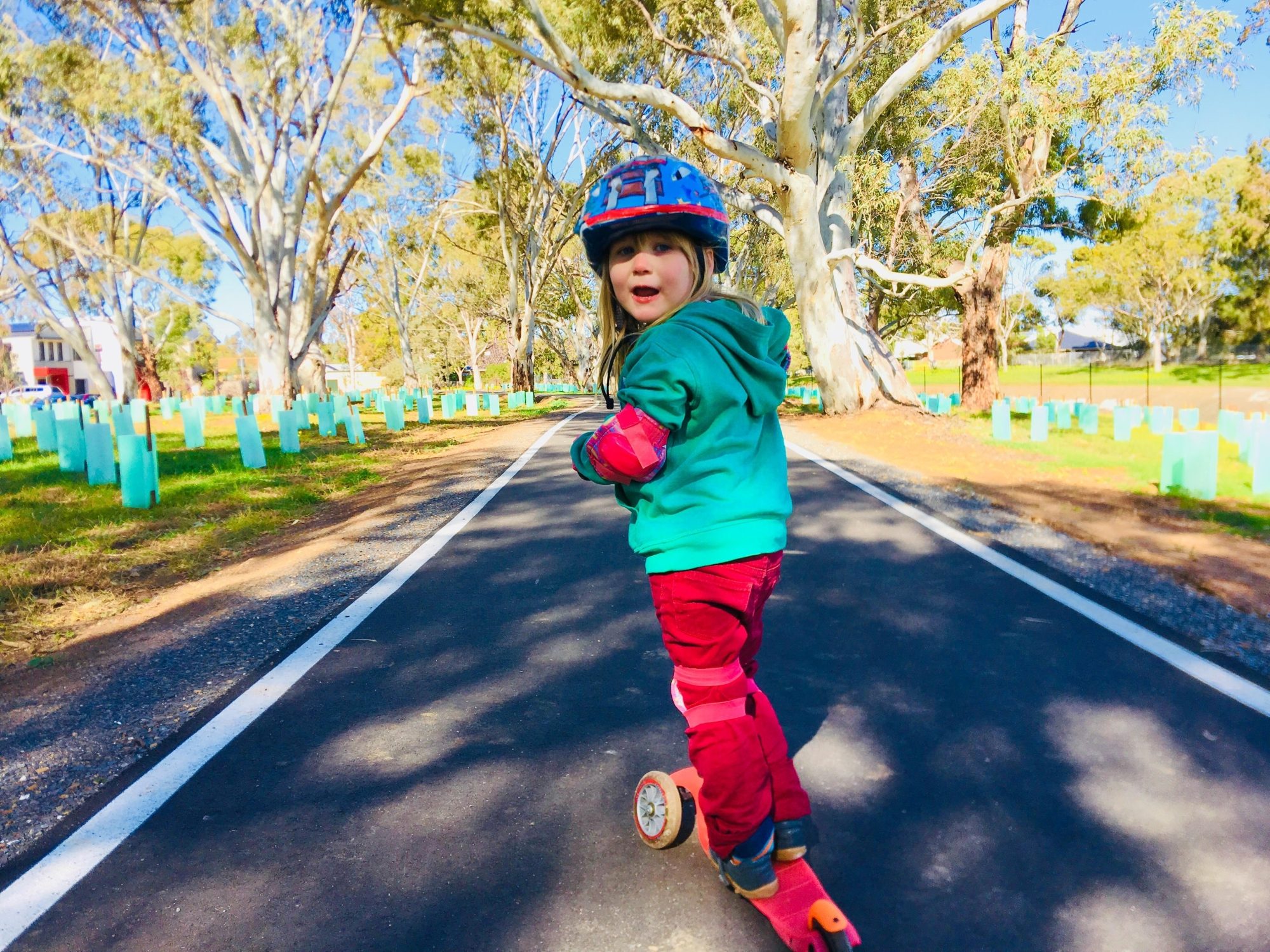 Appleby Road Reserve Sturt River Linear Park Zb 1