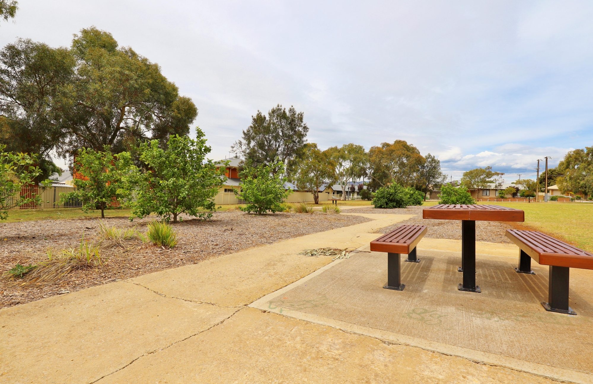 Branksome Terrace Reserve Picnic 2