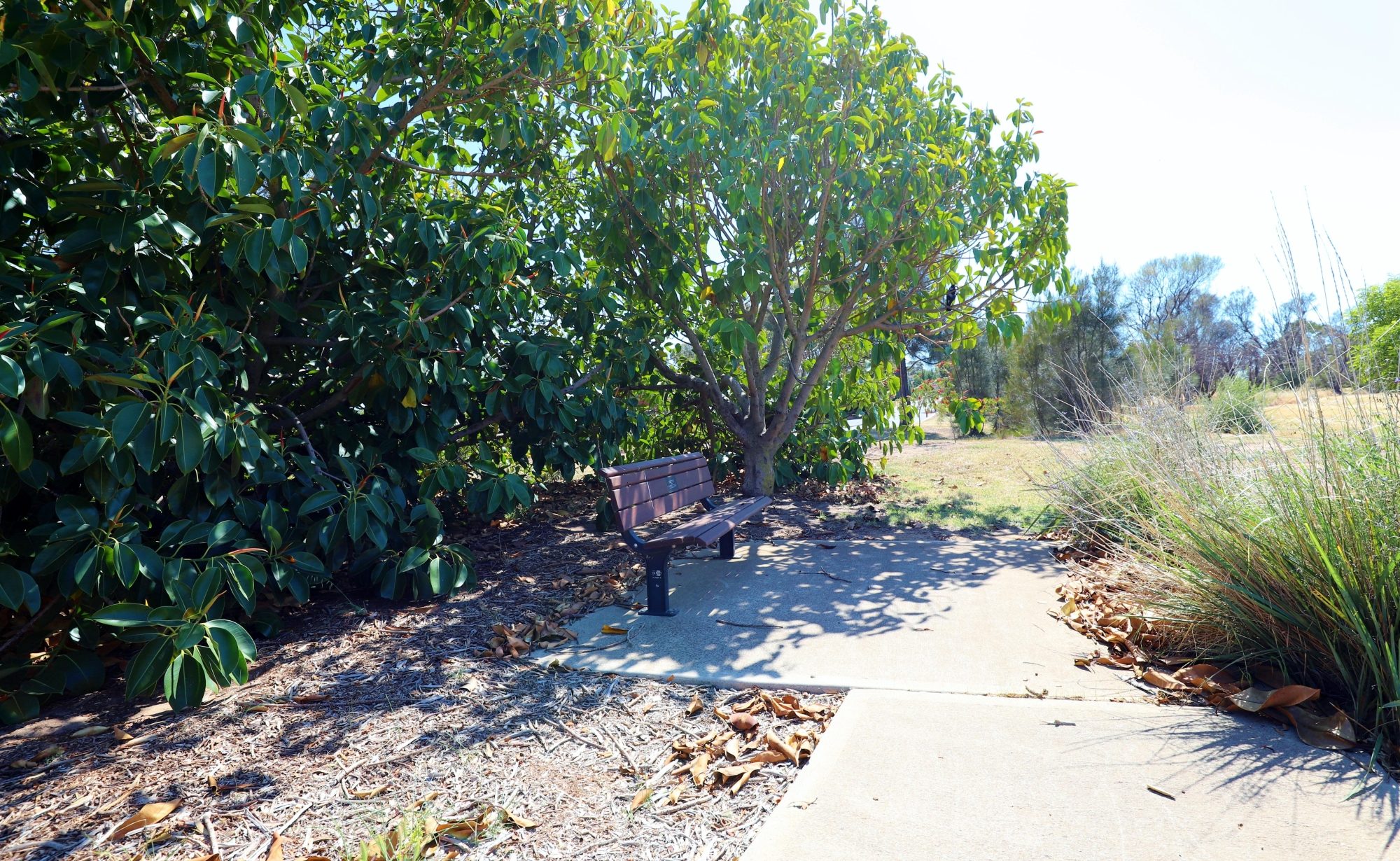 Columbia Crescent Reserve Memorial Seat 1