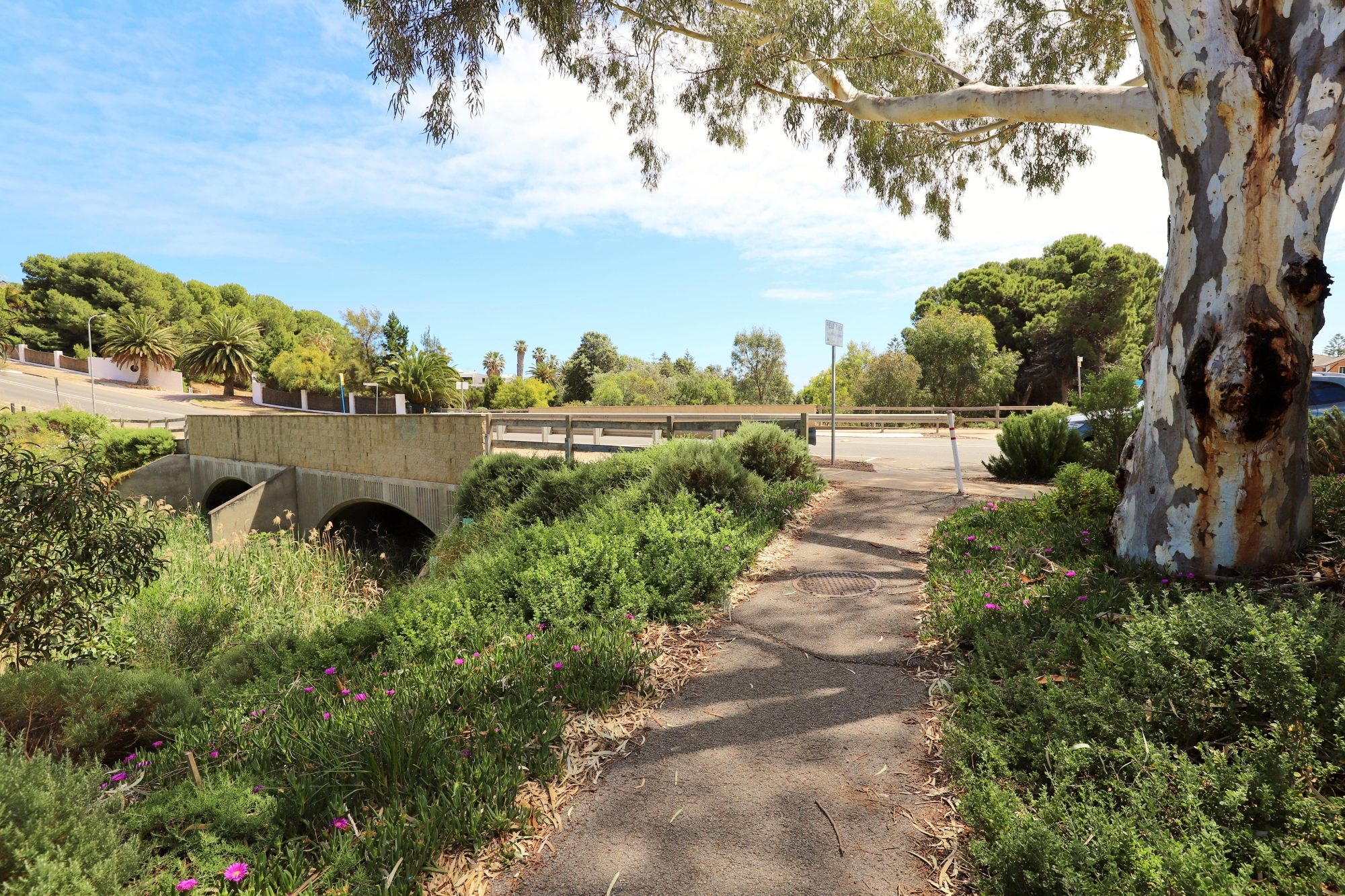 Cormorant Drive Reserve South Entrance 2