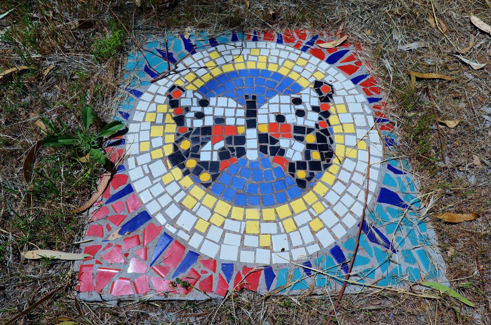 Cormorant Drive Reserve South Mosaic Butterfly 1