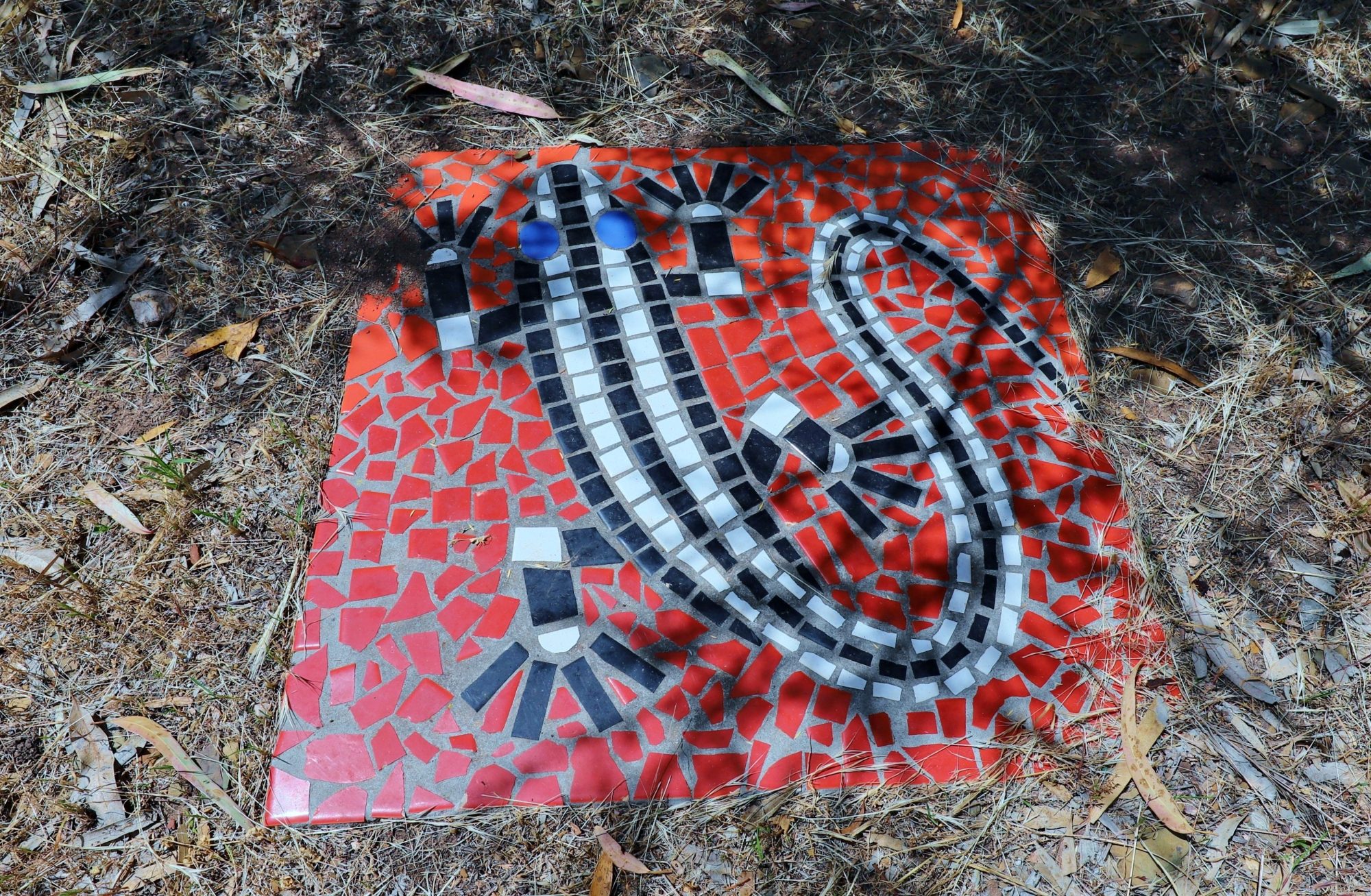 Cormorant Drive Reserve South Mosaic Lizard 1